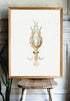 light wood framed vintage squid print wall art